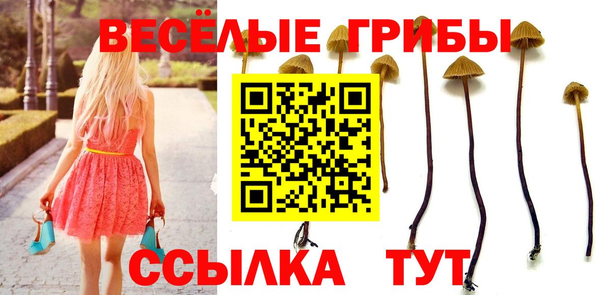 Магадан  Галлюциногенные грибы мицелий  Вход с VPN 